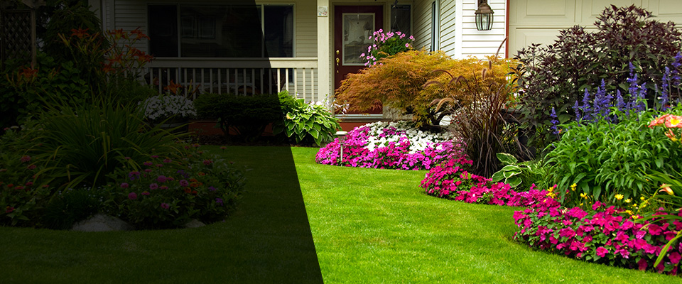 Stedman Landscapers