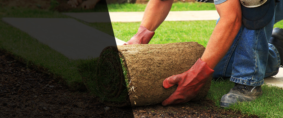 Stedman Landscapers